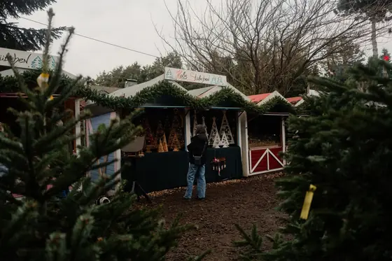 Weihnachtsbaumverkauf neben dem Hof