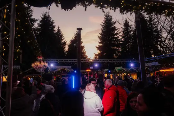 Blaue Stunde zwischen den Tannen